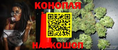 МДПВ Тара